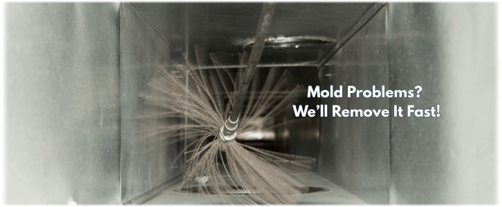 Air Duct Mold Removal in Addison