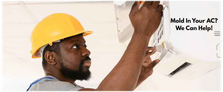 HVAC Mold Removal Addison